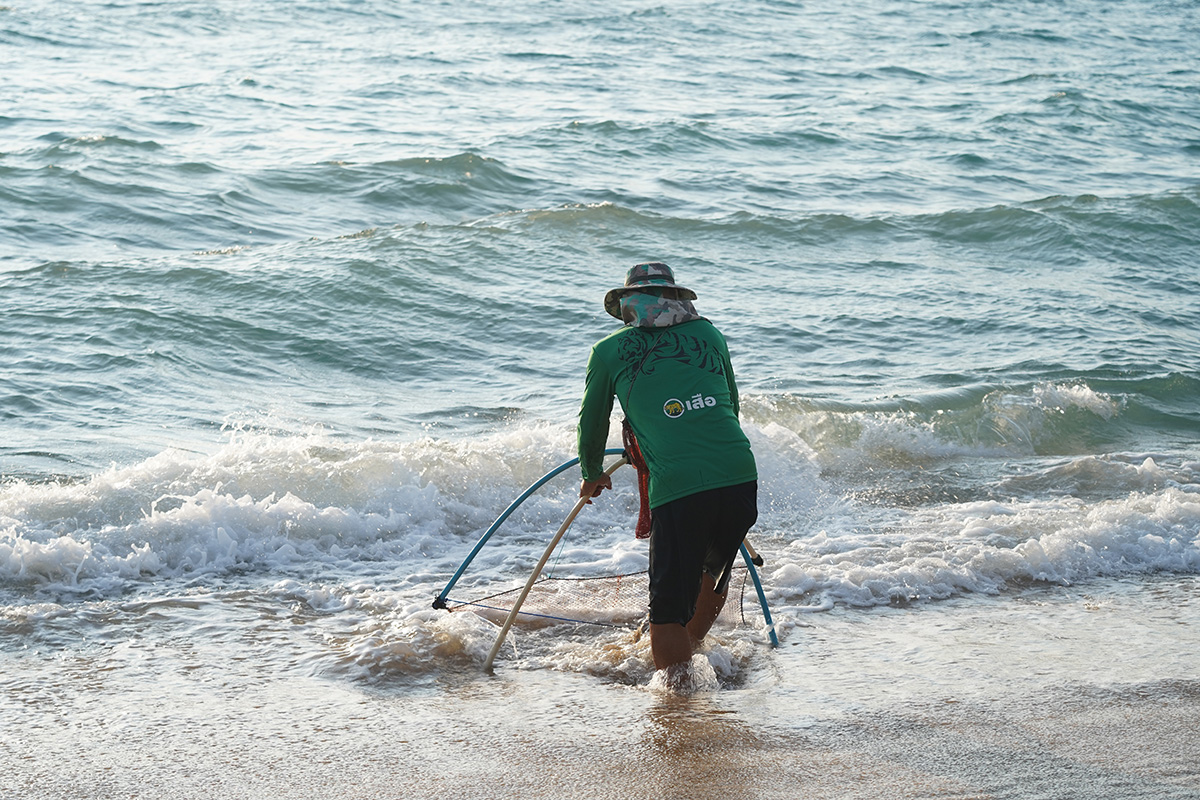 Mole crab catching at Mai Khao, Phuket