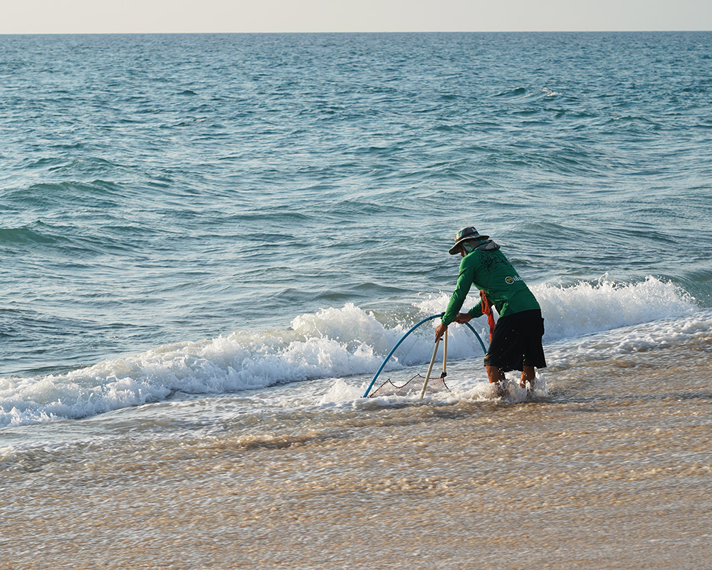 จับจั๊กจั่นทะเล หาดไม้ขาว ภูเก็ต